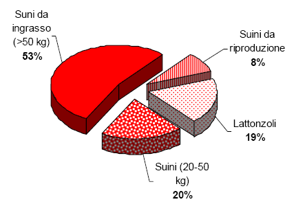 Patrimonio suino