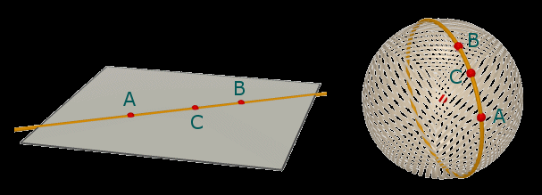 Data una superficie, le geodetiche su di essa sono le curve che minimizzano la distanza