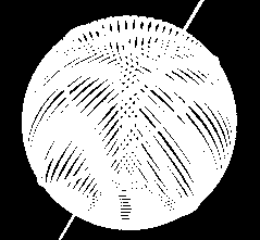 Postulati della geometria sferica e della geometria proiettiva Geometria sferica 1) Per ogni coppia di punti distinti passa una ed una sola geodetica, ad eccezione dei punti antipodali.