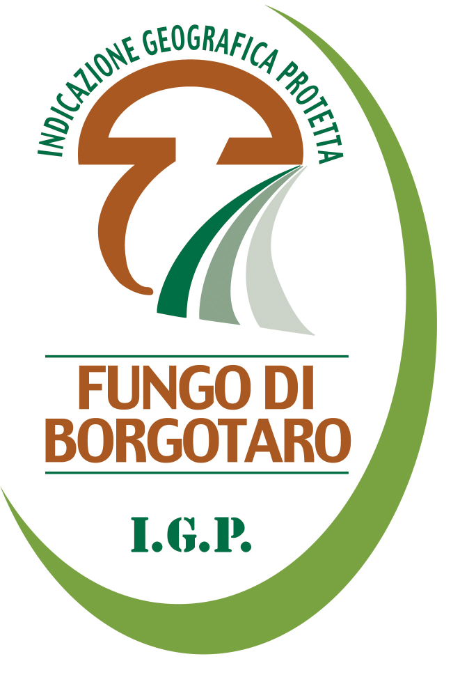 E' fatto divieto di usare, con la denominazione Fungo di Borgotaro qualsiasi altra denominazione ed aggettivazione aggiuntiva.