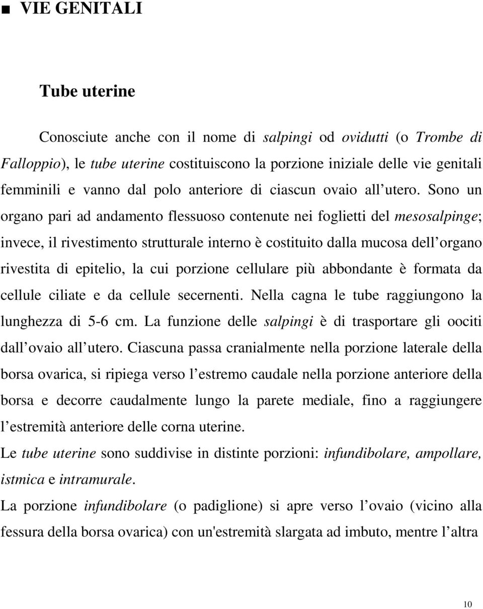 Sono un organo pari ad andamento flessuoso contenute nei foglietti del mesosalpinge; invece, il rivestimento strutturale interno è costituito dalla mucosa dell organo rivestita di epitelio, la cui