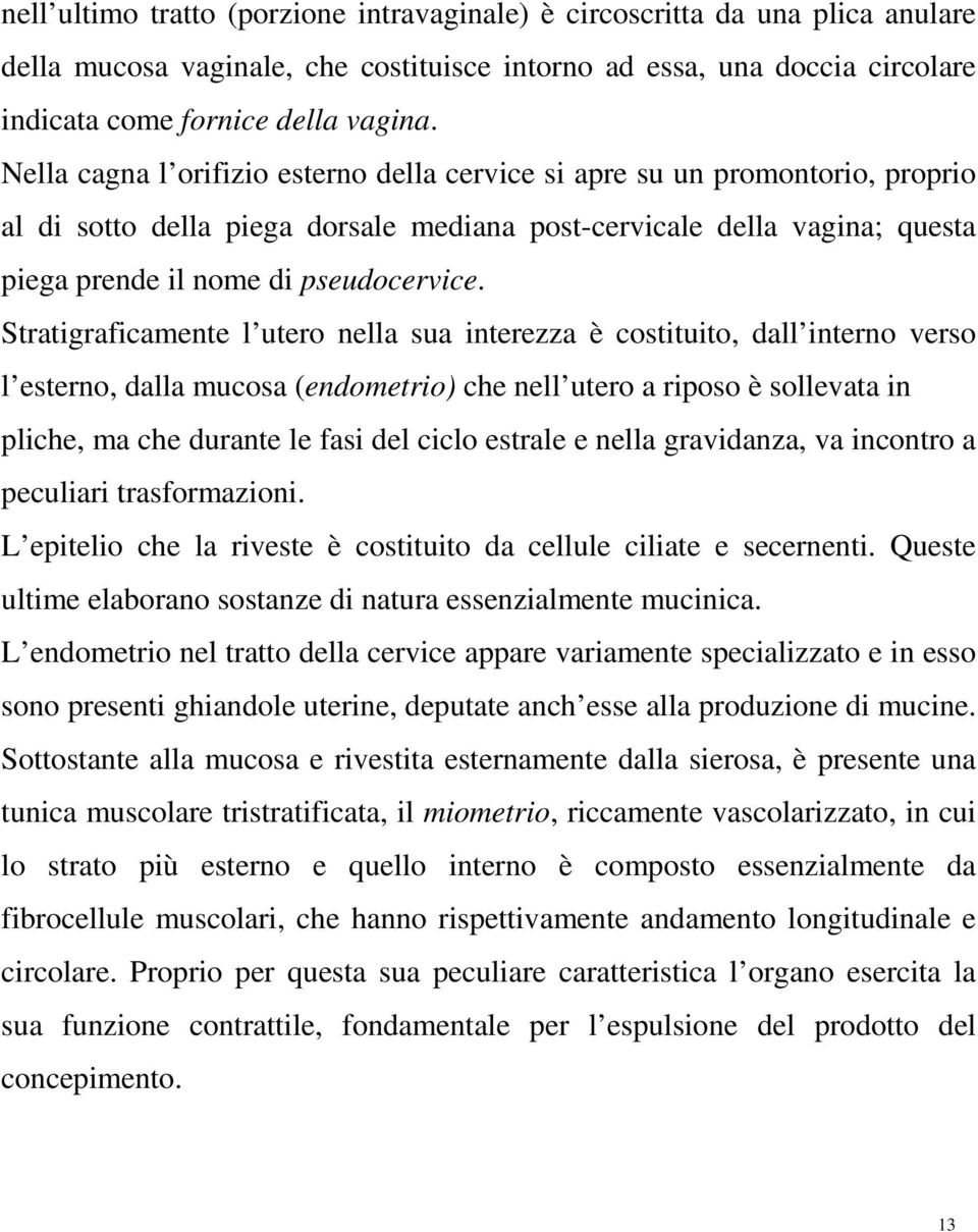 Stratigraficamente l utero nella sua interezza è costituito, dall interno verso l esterno, dalla mucosa (endometrio) che nell utero a riposo è sollevata in pliche, ma che durante le fasi del ciclo