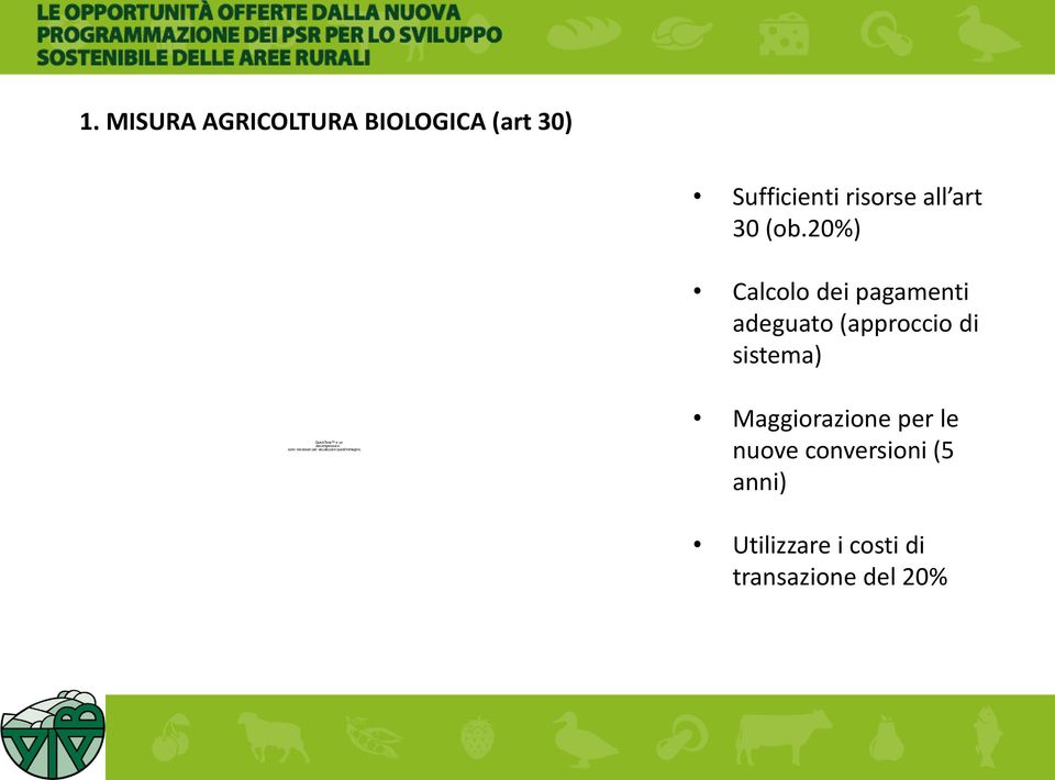 20%) Calcolo dei pagamenti adeguato (approccio di sistema)