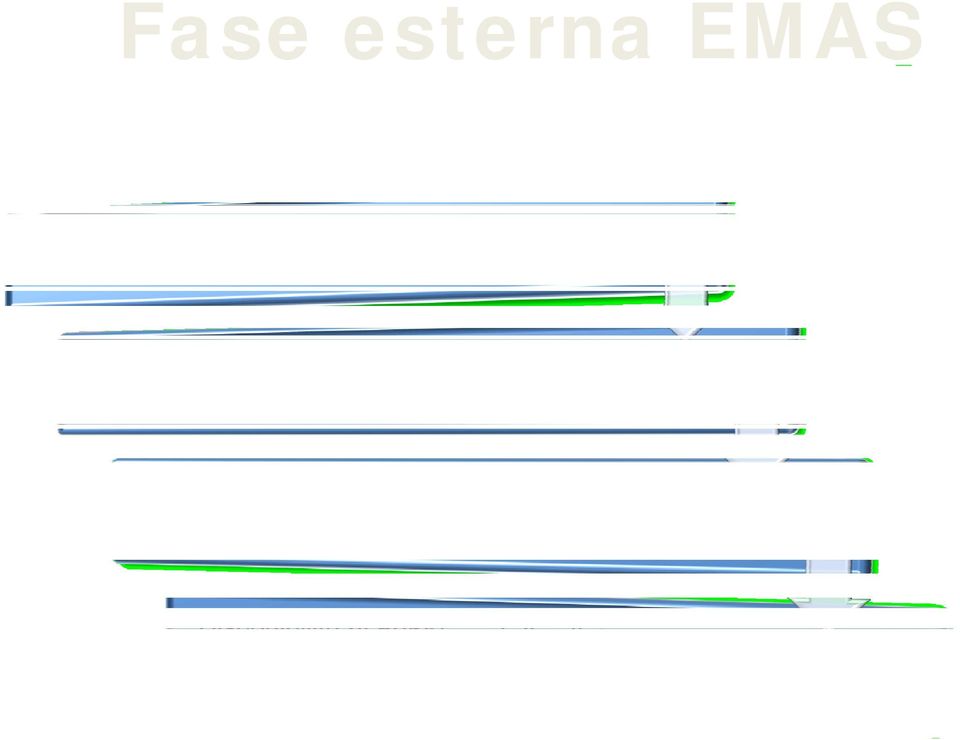 EMAS