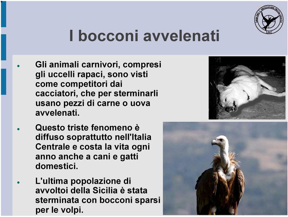 Questo triste fenomeno è diffuso soprattutto nell'italia Centrale e costa la vita ogni anno anche a