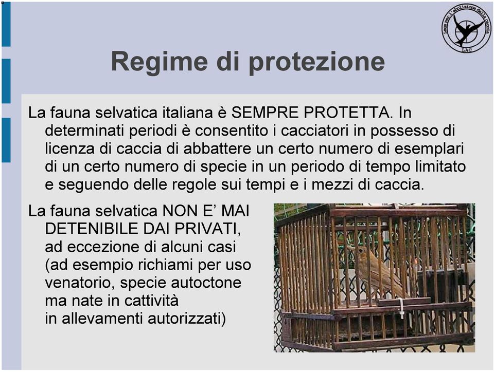 di un certo numero di specie in un periodo di tempo limitato e seguendo delle regole sui tempi e i mezzi di caccia.