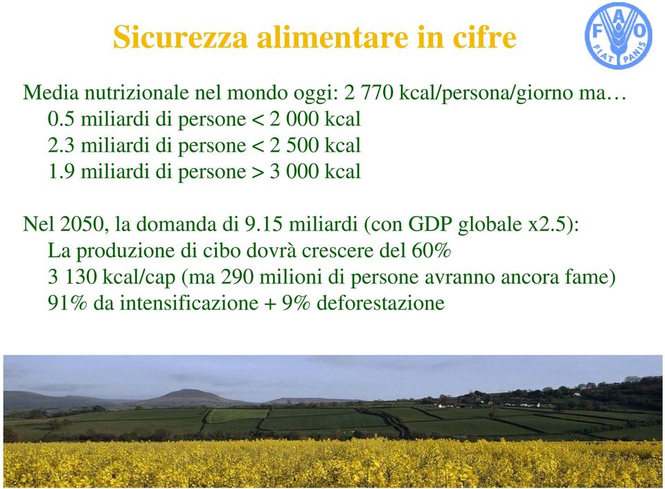 9 miliardi di persone > 3 000 kcal Nel 2050, la domanda di 9.15 miliardi (con GDP globale x2.