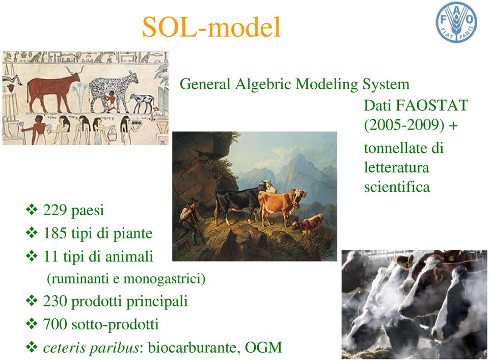 sotto-prodotti ceteris paribus: biocarburante, OGM General Algebric