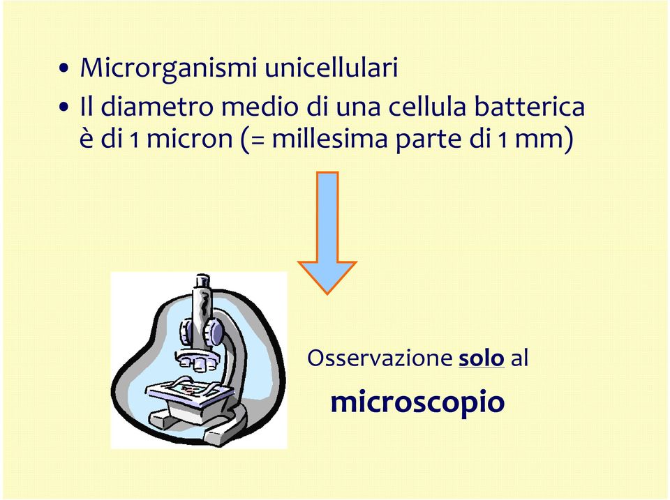 batterica è di 1 micron (=