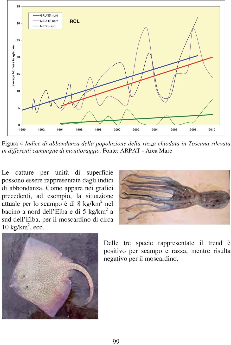 Fonte: ARPAT - Area Mare Le catture per unità di superficie possono essere rappresentate dagli indici di abbondanza.