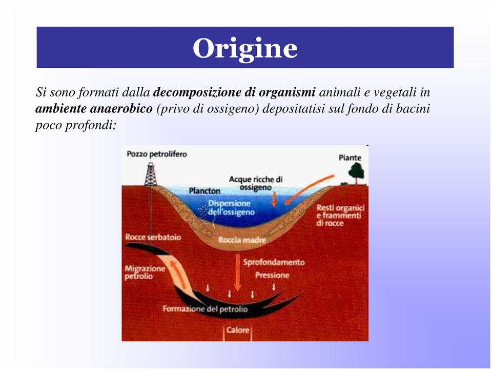 vegetali in ambiente anaerobico (privo di