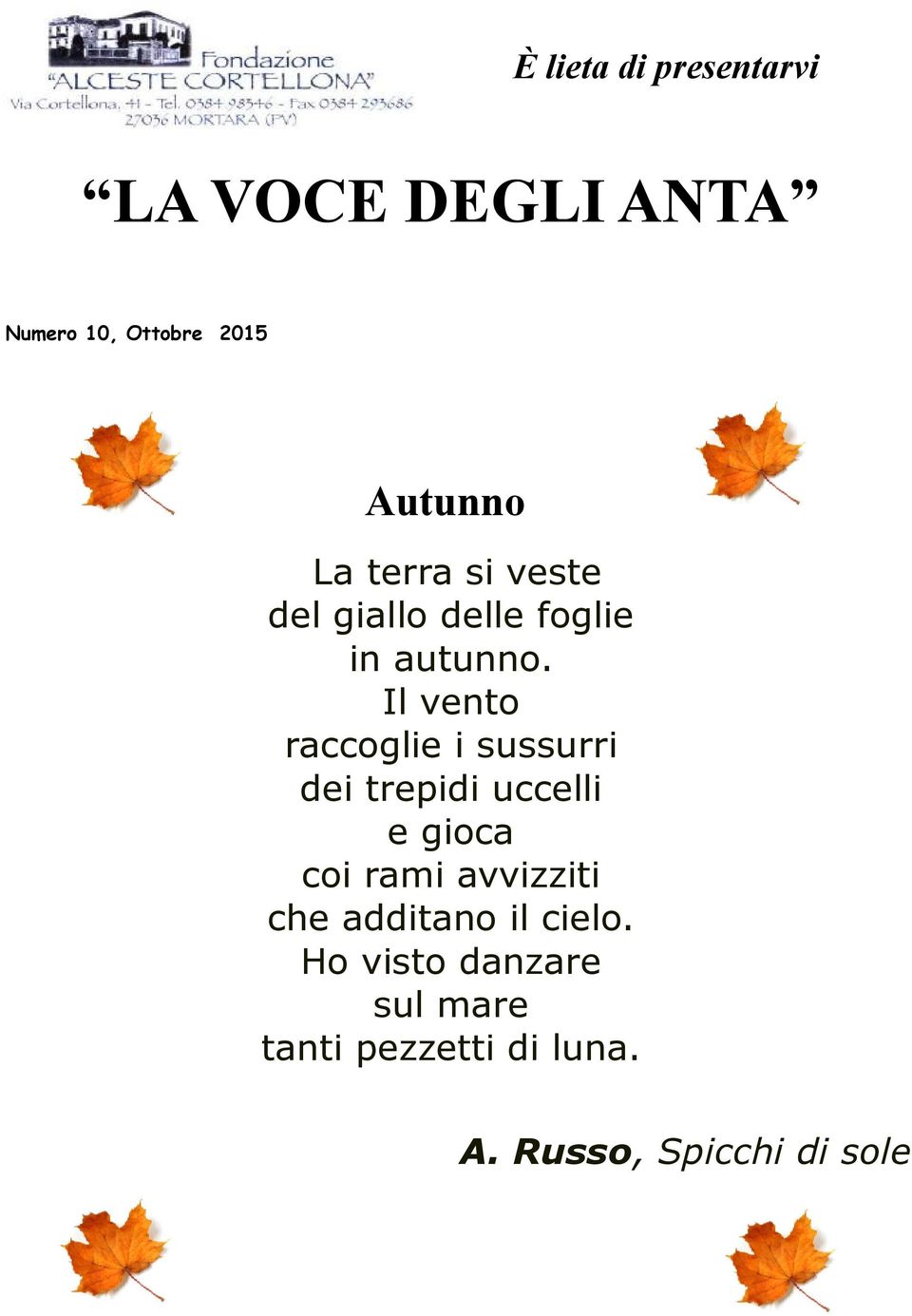 Il vento raccoglie i sussurri dei trepidi uccelli e gioca coi rami