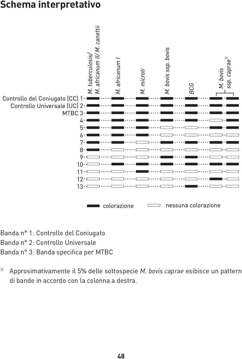 1) Approsimativamente il 5% delle sottospecie M.