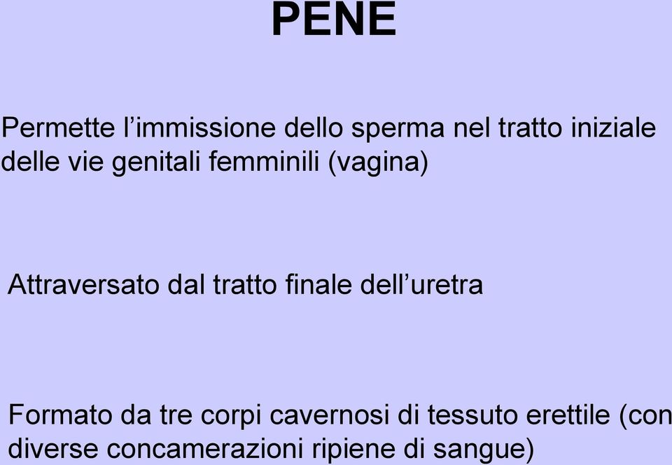 tratto finale dell uretra Formato da tre corpi cavernosi di