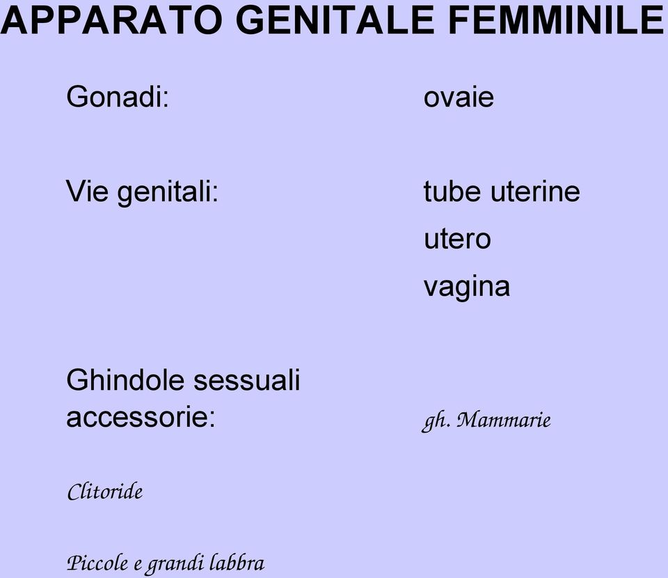 vagina Ghindole sessuali accessorie: