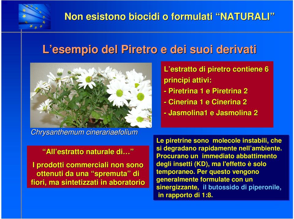 spremuta di fiori,, ma sintetizzati in aboratorio Le piretrine sono molecole instabili, che si degradano rapidamente nell ambiente.