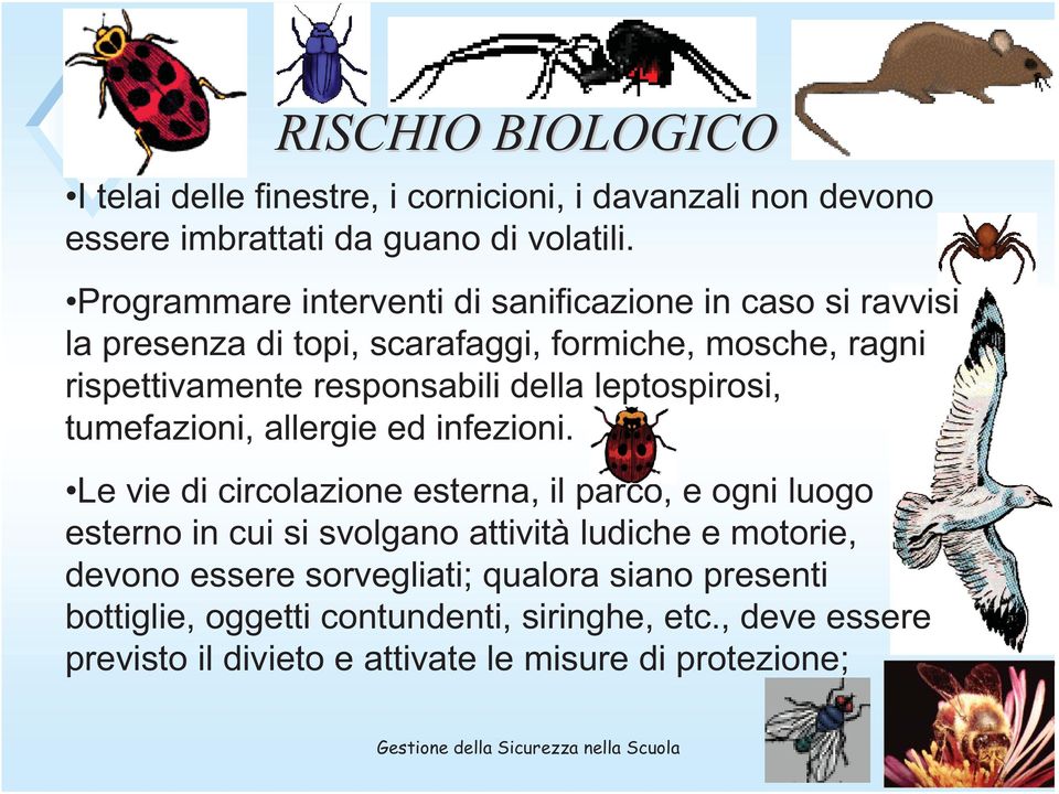 leptospirosi, tumefazioni, allergie ed infezioni.