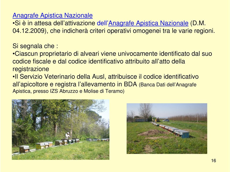 Si segnala che : Ciascun proprietario di alveari viene univocamente identificato dal suo codice fiscale e dal codice identificativo