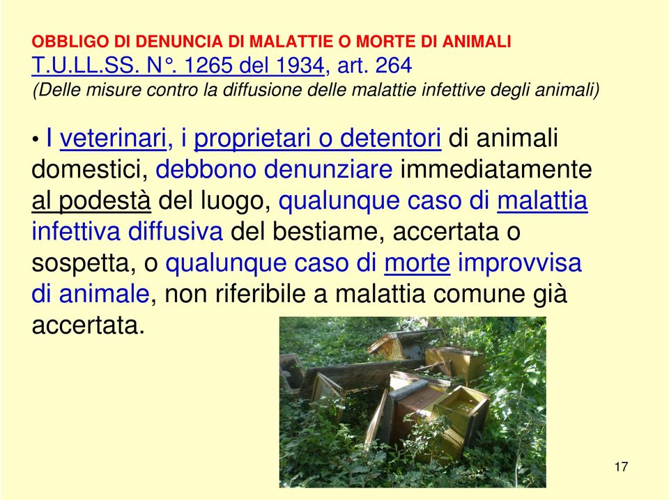 detentori di animali domestici, debbono denunziare immediatamente al podestà del luogo, qualunque caso di malattia