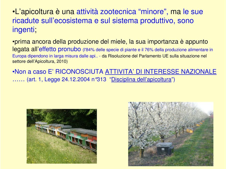 produzione alimentare in Europa dipendono in larga misura dalle api.