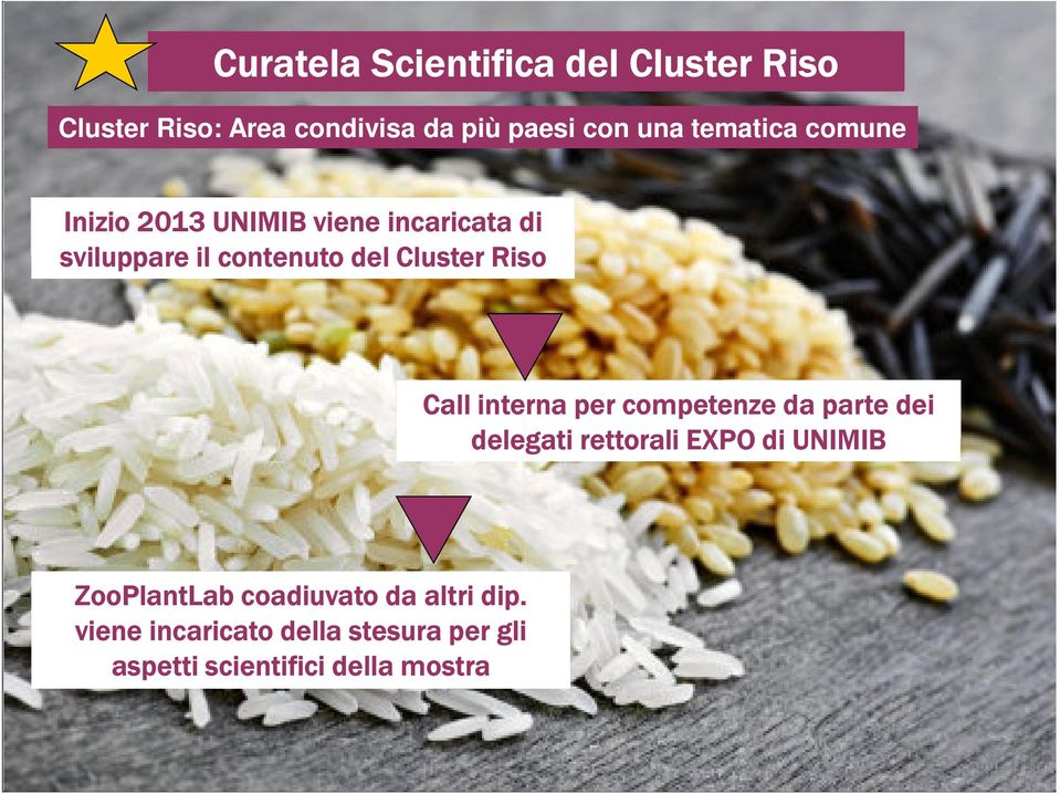 Riso Call interna per competenze da parte dei delegati rettorali EXPO di UNIMIB ZooPlantLab