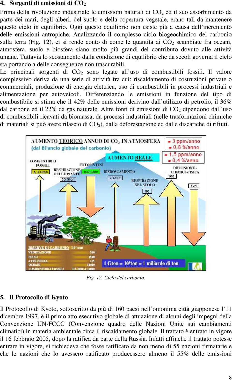 Analizzando il complesso ciclo biogeochimico del carbonio sulla terra (Fig.