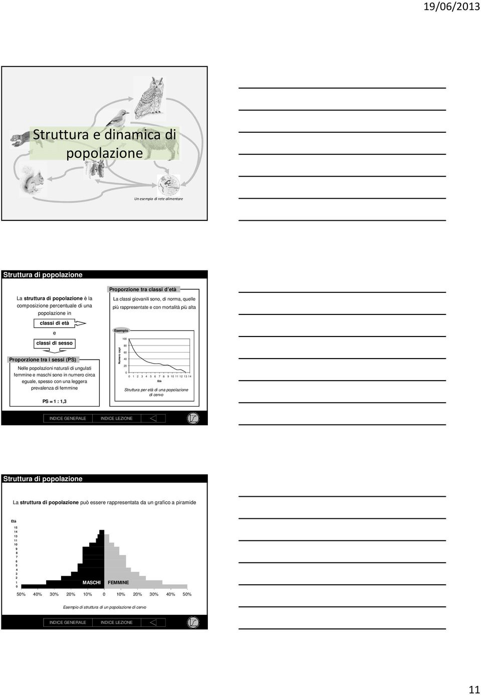 classi d età La classi giovanili sono, di norma, quelle più rappresentate e con mortalità più alta Esempio Numero capi 100 80 60 40 20 0 0 1 2 3 4 5 6 7 8 9 10 11 12 13 14 Età Struttura per età di