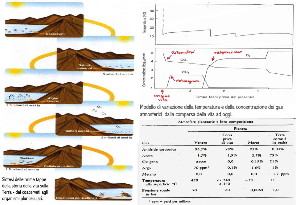 Modello di variazione della temperatura e della