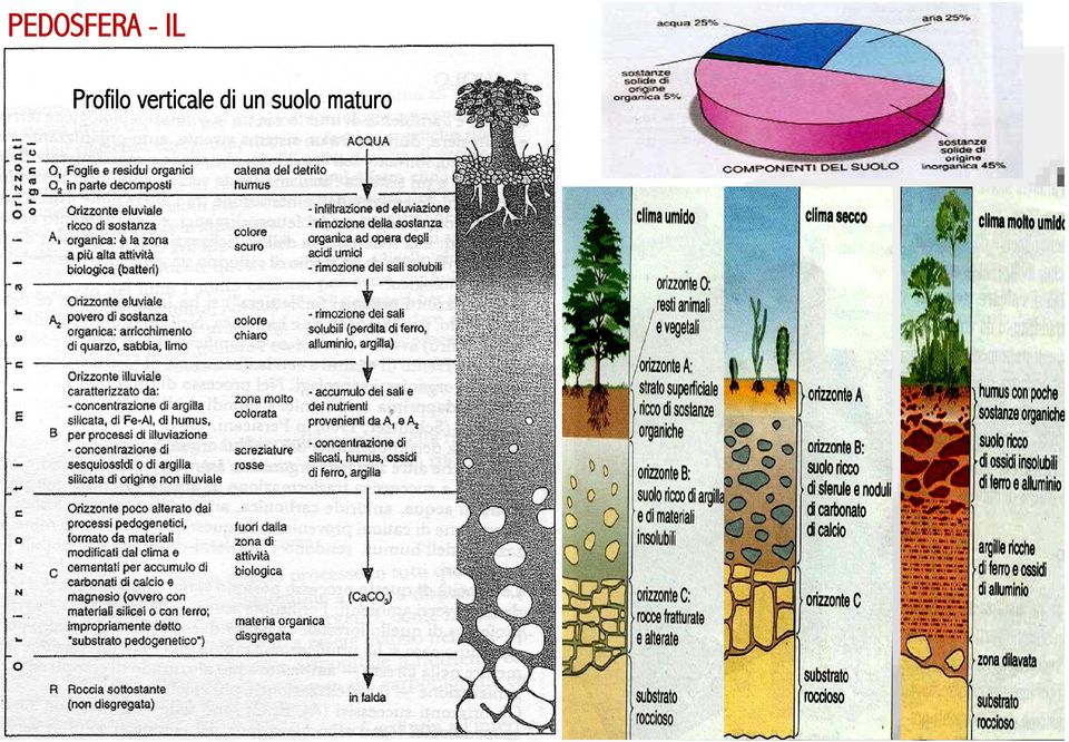 verticale di