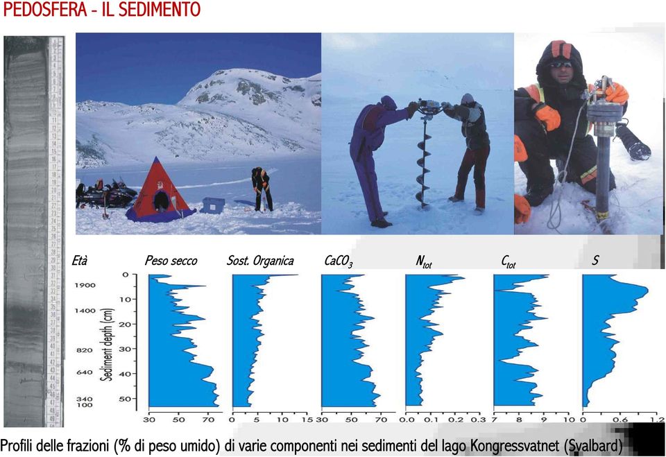 frazioni (% di peso umido) di varie componenti