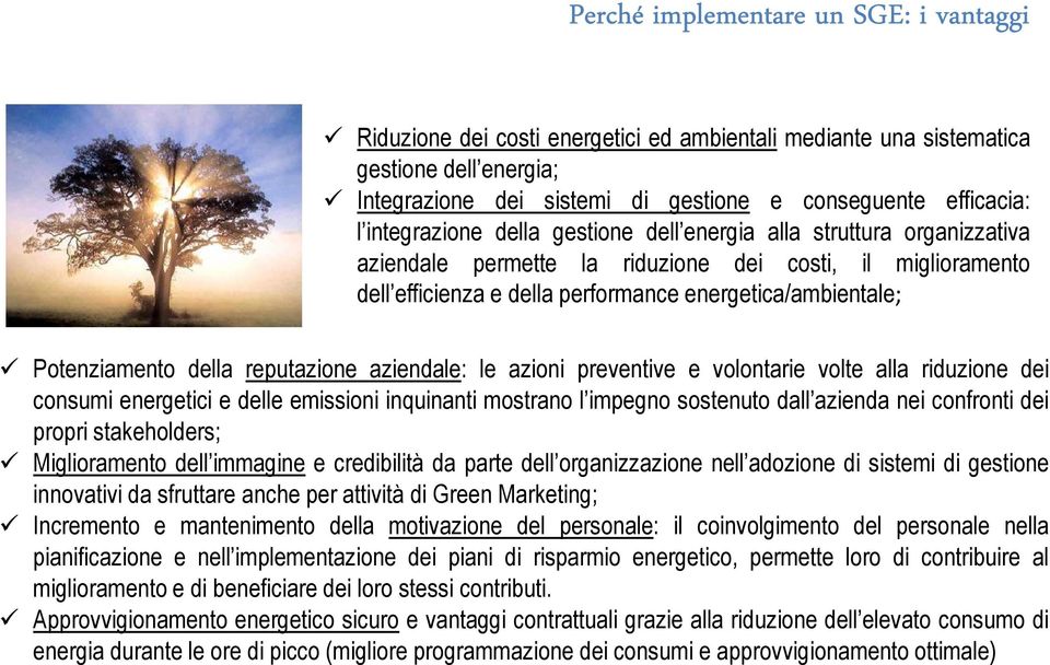 Potenziamento della reputazione aziendale: le azioni preventive e volontarie volte alla riduzione dei consumi energetici e delle emissioni inquinanti mostrano l impegno sostenuto dall azienda nei