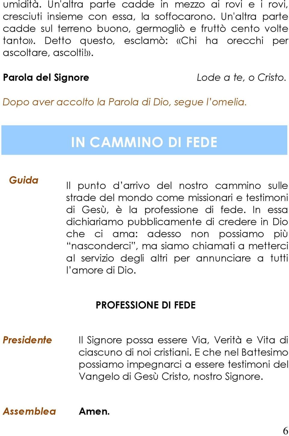 IN CAMMINO DI FEDE Guida Il punto d arrivo del nostro cammino sulle strade del mondo come missionari e testimoni di Gesù, è la professione di fede.