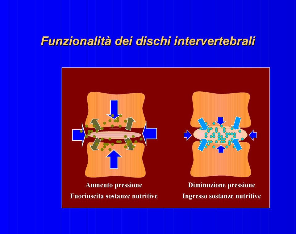 Fuoriuscita sostanze nutritive