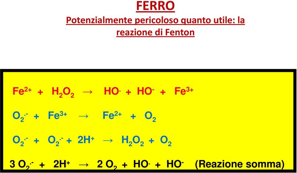 + HO - + Fe 3+ O 2.- + Fe 3+ Fe 2+ + O 2 O 2.- + O 2.