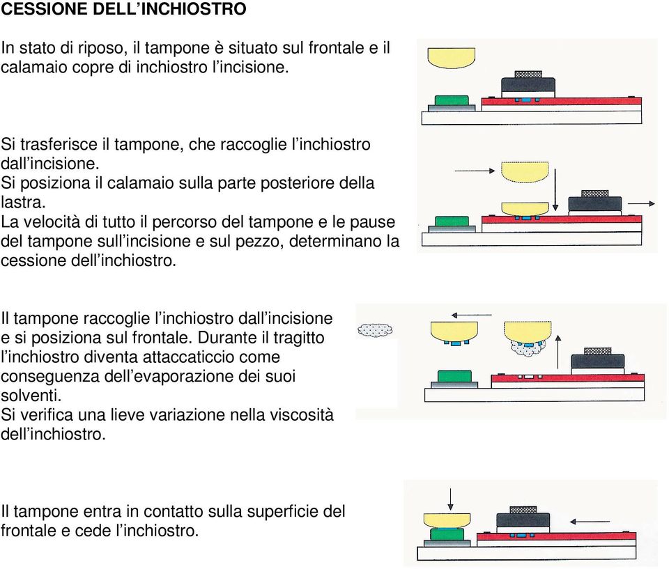 La velocità di tutto il percorso del tampone e le pause del tampone sull incisione e sul pezzo, determinano la cessione Il tampone raccoglie l inchiostro dall incisione e si