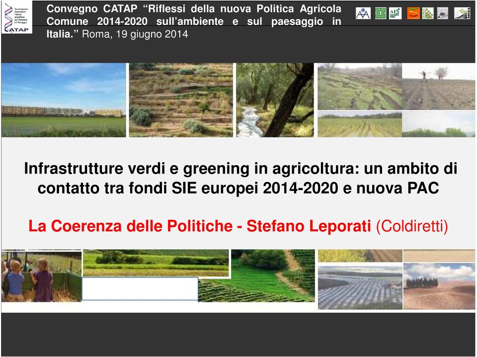 Roma, 19 giugno 2014 Infrastrutture verdi e greening in agricoltura: un
