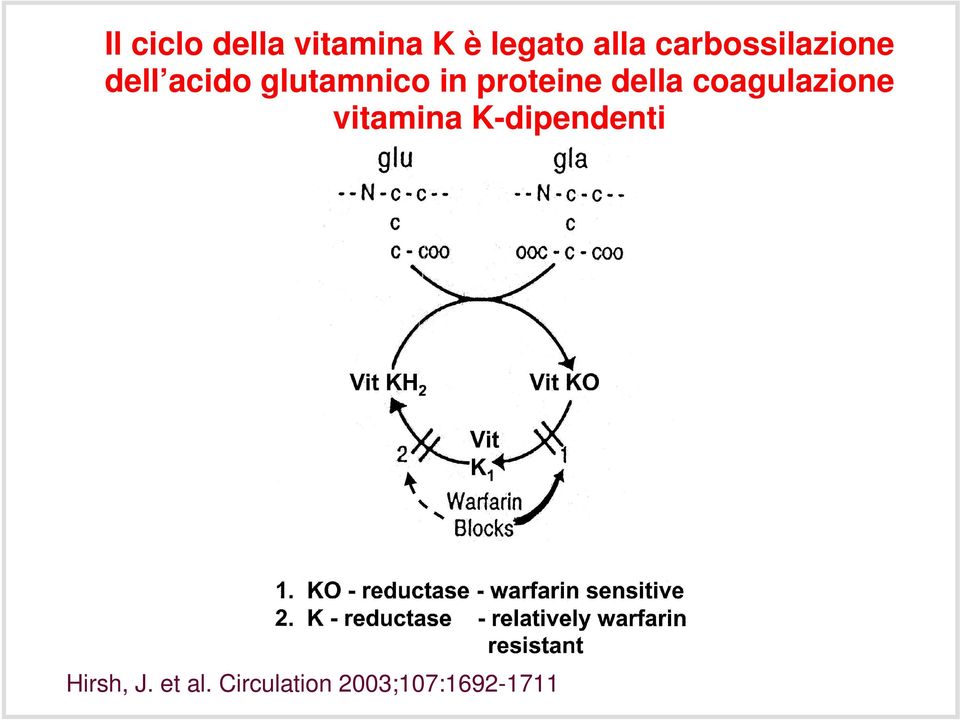 proteine della coagulazione vitamina