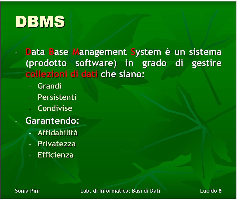 collezioni di dati che siano: Grandi Persistenti