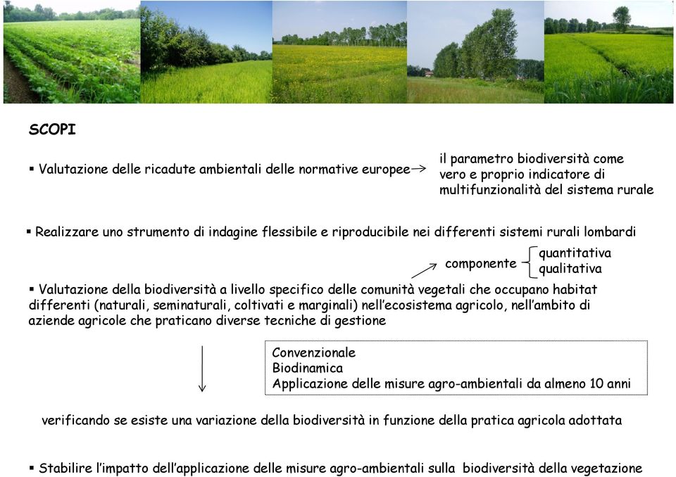 habitat differenti (naturali, seminaturali, coltivati e marginali) nell ecosistema agricolo, nell ambito di aziende agricole che praticano diverse tecniche di gestione Convenzionale Biodinamica