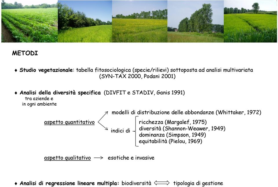 distribuzione delle abbondanze (Whittaker, 1972) indici di ricchezza (Margalef, 1975) diversità (Shannon-Weawer, 1949) dominanza