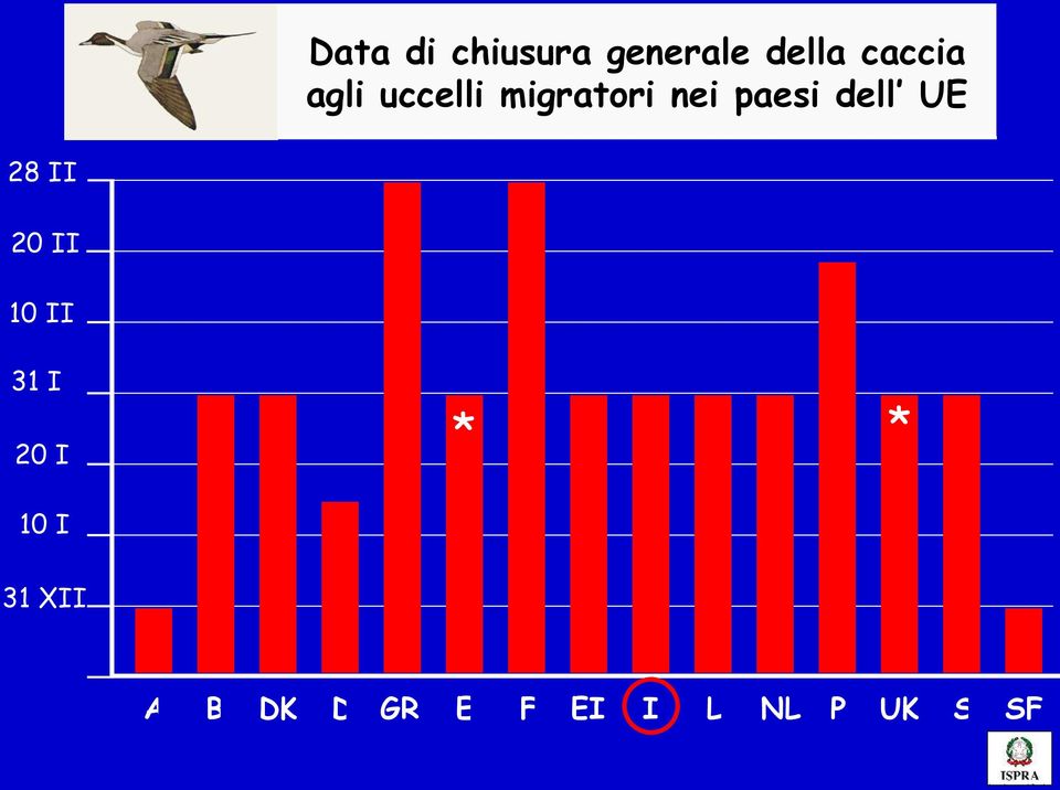 UE 28 II 20 II 10 II 31 I * * 20 I 10 I