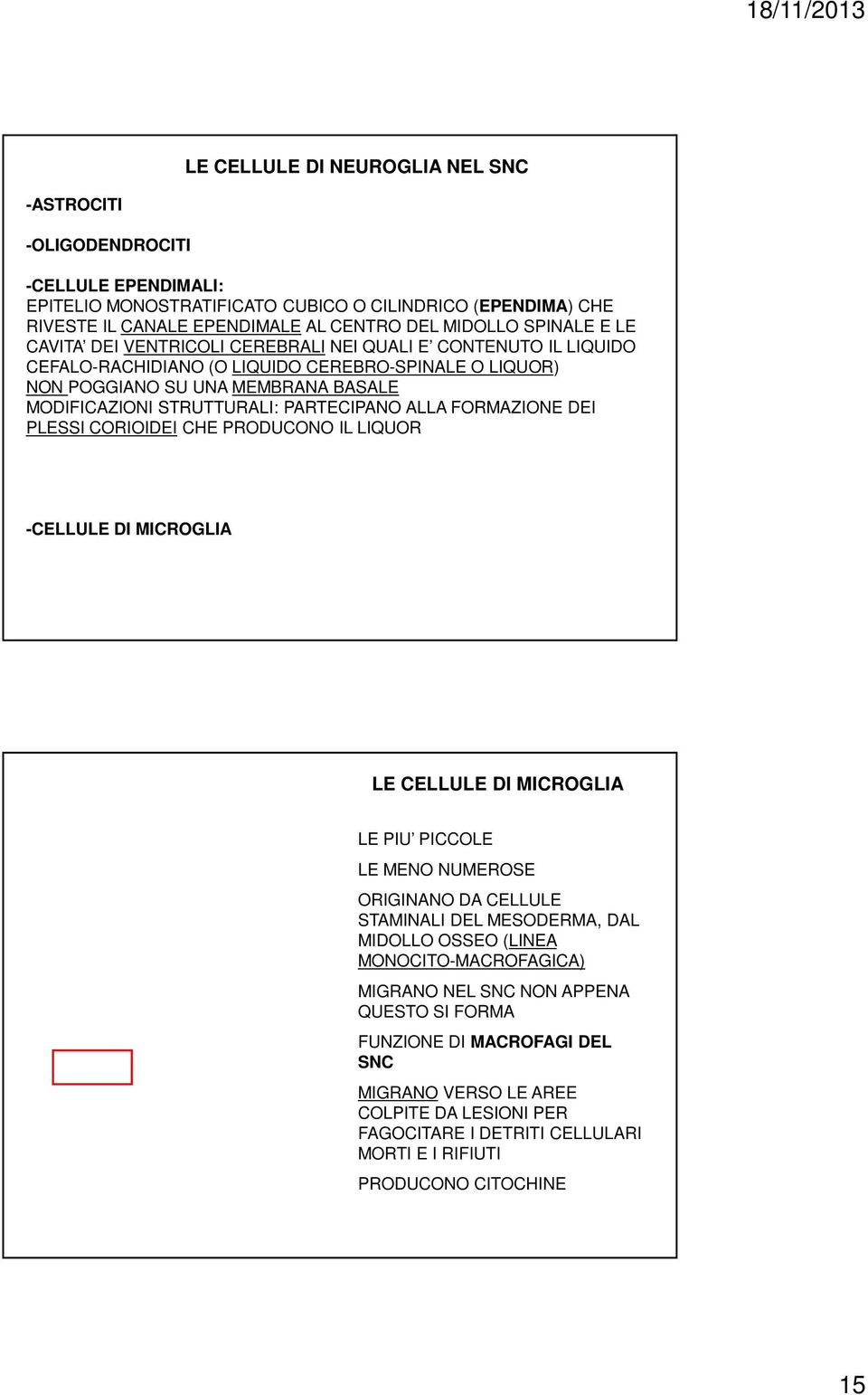 PARTECIPANO ALLA FORMAZIONE DEI PLESSI CORIOIDEI CHE PRODUCONO IL LIQUOR -CELLULE DI MICROGLIA LE CELLULE DI MICROGLIA LE PIU PICCOLE LE MENO NUMEROSE ORIGINANO DA CELLULE STAMINALI DEL MESODERMA,