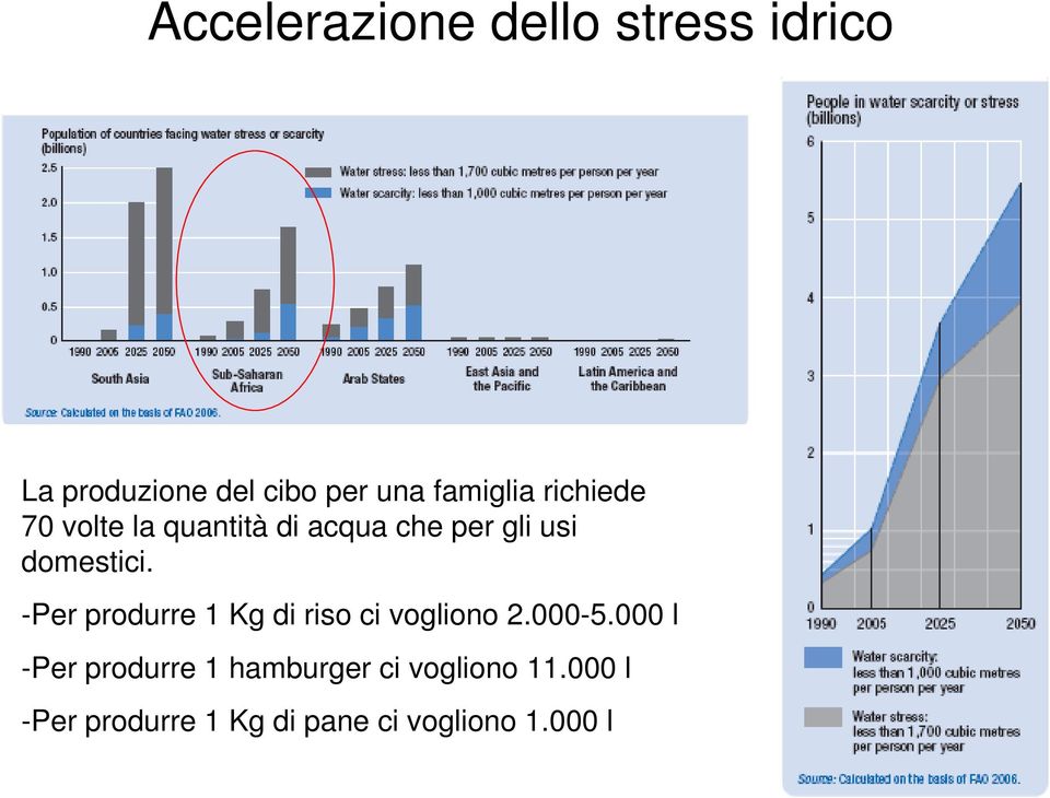 domestici. -Per produrre 1 Kg di riso ci vogliono 2.000-5.