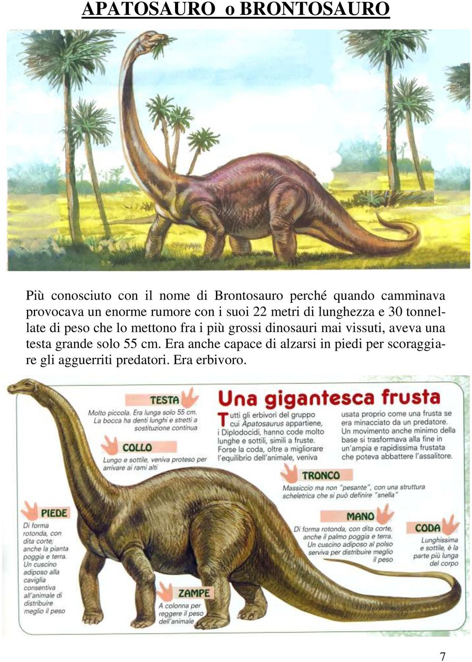 peso che lo mettono fra i più grossi dinosauri mai vissuti, aveva una testa grande solo