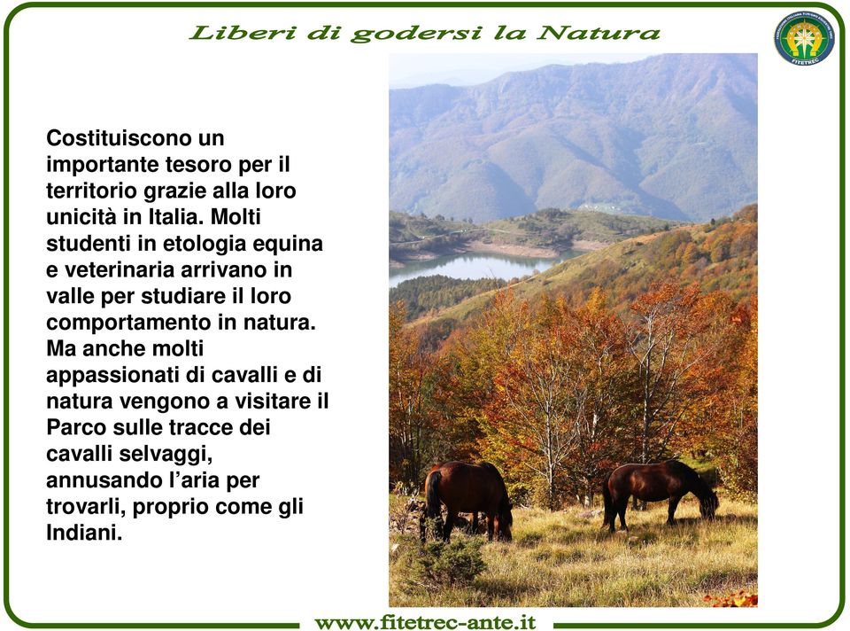 comportamento in natura.