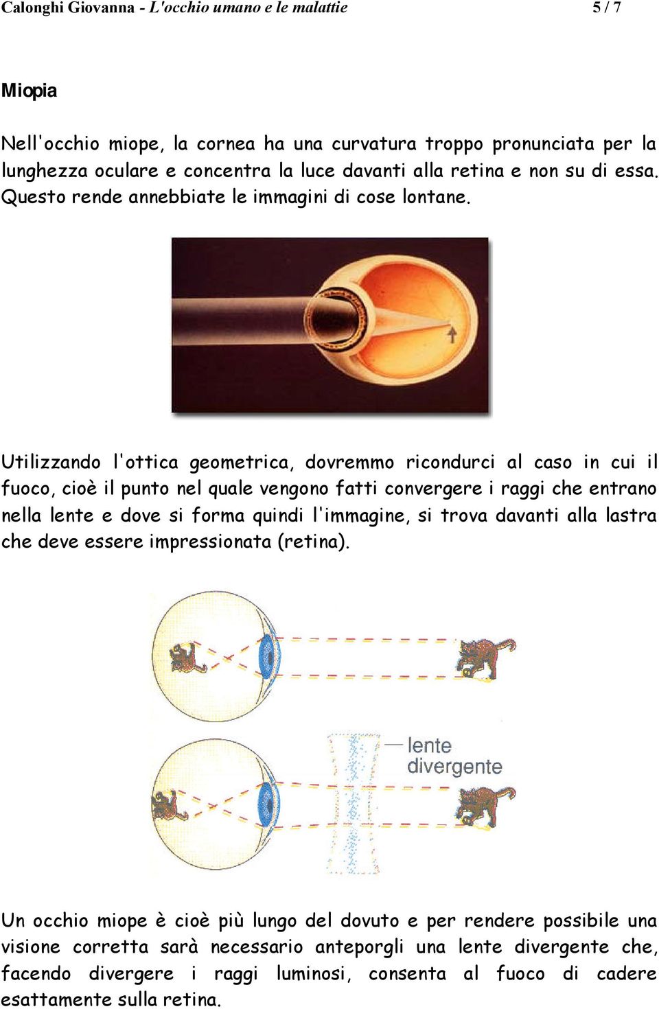 Utilizzando l'ottica geometrica, dovremmo ricondurci al caso in cui il fuoco, cioè il punto nel quale vengono fatti convergere i raggi che entrano nella lente e dove si forma quindi