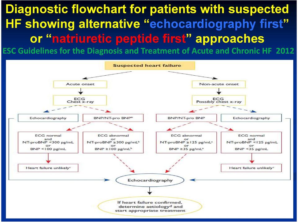 natriuretic peptide first approaches ESC Guidelines