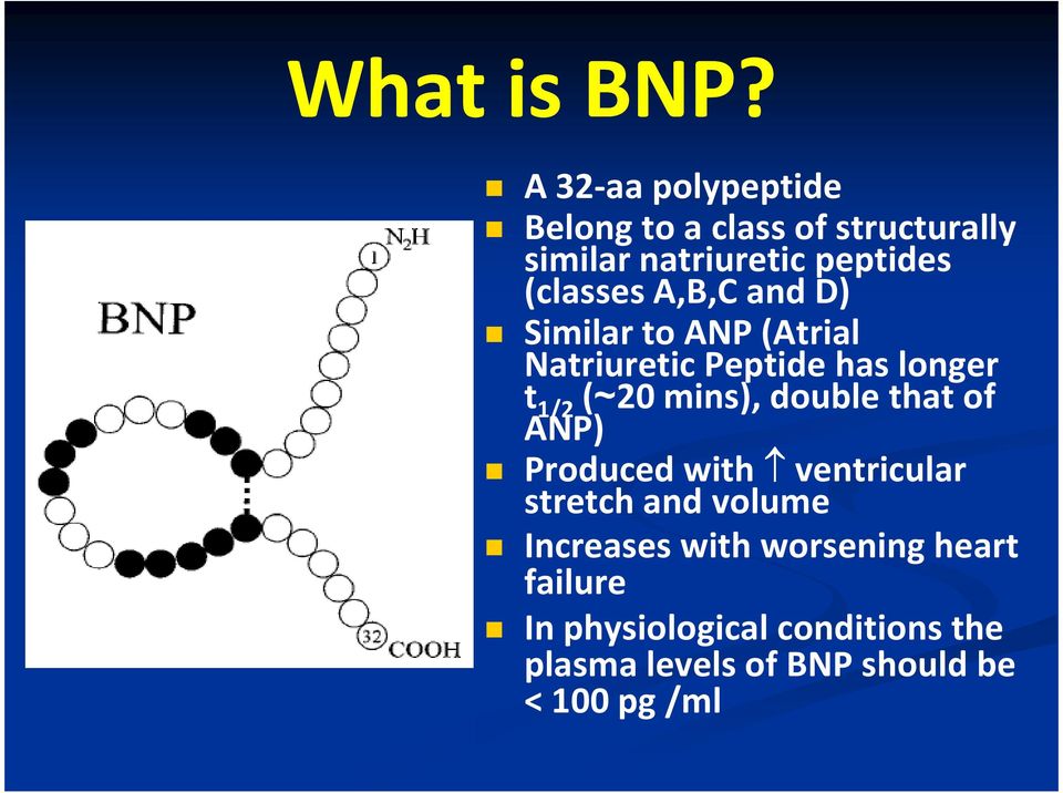 A,B,C and D) Similar to ANP (Atrial Natriuretic Peptide has longer t 1/2 (~20 mins), double