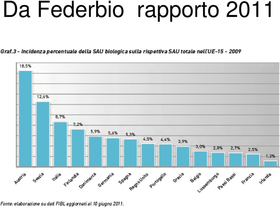 rapporto