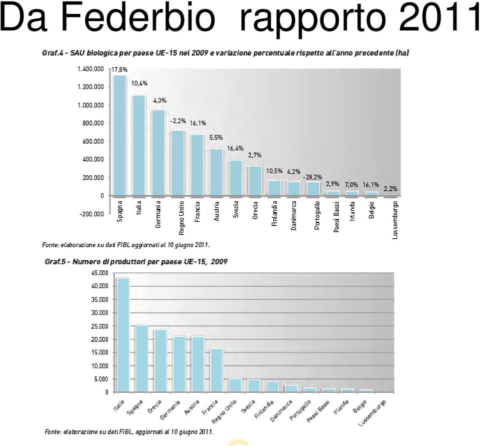 rapporto